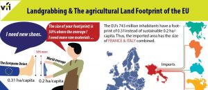 Landgrabbing